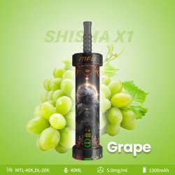 MFU SHISHA X1 - Grape Flavor