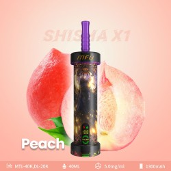 MFU SHISHA X1 - Peach Flavor